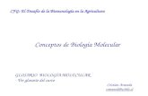 Conceptos de Biología Molecular GLOSARIO BIOLOGÍA MOLECULAR - Ver glosario del curso CFG: El Desafío de la Biotecnología en la Agricultura Cristian Araneda.