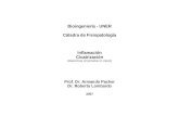 Bioingeniería - UNER Cátedra de Fisiopatología Inflamación Cicatrización (diapositivas proyectadas en clases) Prof. Dr. Armando Pacher Dr. Roberto Lombardo.