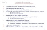 NRH 1 REPARACIÓN DEL DNATema 4 Lesiones del DNA. Origen de las mutaciones Mecanismos de reparación Reparación directa del daño: DNA fotoliasas Escisión.