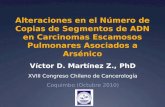 Alteraciones en el Número de Copias de Segmentos de ADN en Carcinomas Escamosos Pulmonares Asociados a Arsénico Víctor D. Martínez Z., PhD XVIII Congreso.