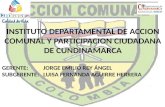 INSTITUTO DEPARTAMENTAL DE ACCION COMUNAL Y PARTICIPACION CIUDADANA DE CUNDINAMARCA GERENTE: JORGE EMILIO REY ÁNGEL SUBGERENTE: LUISA FERNANDA AGUIRRE.