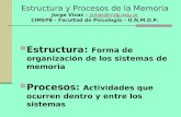 Estructura y Procesos de la Memoria Jorge Vivas – jvivas@mdp.edu.ar CIMEPB - Facultad de Psicología – U.N.M.D.P.jvivas@mdp.edu.ar Estructura: Forma de.
