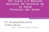 VII Curso y X Reunión Nacional de Pastoral de la Salud Pastoral del Duelo El Acompañamiento Individual Psic. Cliserio Rojas Santes.
