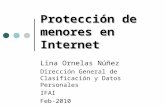 Protección de menores en Internet Lina Ornelas Núñez Dirección General de Clasificación y Datos Personales IFAI Feb-2010.