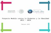 Proyecto Modelo contra la Diabetes y la Obesidad 2013 – 2018 Febrero 2013.