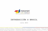 INTRODUCCIÓN A BRASIL Junio 2013. ¿Por qué Brasil es un Mercado Estratégico? Por el tamaño de su economía Por el crecimiento de una nueva clase consumidora.