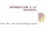 INTRODUCCIÓN A LA BIOLOGÍA Profesor: MSc. René Oscar Rodríguez Grimón.