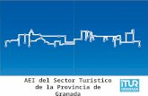 AEI del Sector Turístico de la Provincia de Granada 30 Enero 2012.