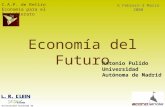 C.A.P. de Retiro Economía para el Bachillerato 6 Febrero-3 Marzo 2008 Economía del Futuro Antonio Pulido Universidad Autónoma de Madrid.