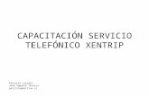CAPACITACIÓN SERVICIO TELEFÓNICO XENTRIP Patricio Larraín Jefe Soporte Técnico patricio@netline.cl.