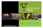 Enoturismo ruta del_vino_de_ribeiro