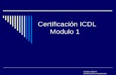 Cecilia Cádiz R. Profesora de Computación Certificación ICDL Modulo 1.