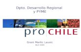 Dpto. Desarrollo Regional y PYME Grani Martic Lausic Abril 2004.