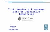 Instrumentos y Programas para el Desarrollo Industrial MEDOZA IDITS OCTUBRE 2008.