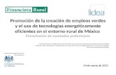 Promoción de la creación de empleos verdes y el uso de tecnologías energéticamente eficientes en el entorno rural de México Presentación de resultados.