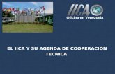 EL IICA Y SU AGENDA DE COOPERACION TECNICA Oficina en Venezuela.