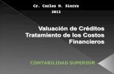 Cr. Carlos H. Sierra 2013. 1 - Concepto - terminología 2 - Clasificación: - Exigibilidad - Origen - Naturaleza 3 - Contenido del Rubro - Deudores por.
