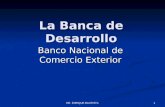 DR. ENRIQUE BAUTISTA 1 La Banca de Desarrollo Banco Nacional de Comercio Exterior.