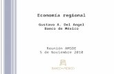 Economía regional Gustavo A. Del Angel Banco de México Reunión AMSDE 5 de Noviembre 2010.