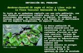 DEFINICIÓN DEL PROBLEMA Borderea chouardii. CR según el Atlas y Libro rojo de la Flora Vascular Amenazada de España. Se trata de un endemismo rupícola.