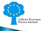 Equipo célula europa y coordinador europeo