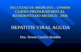 80. hepatitis viral aguda