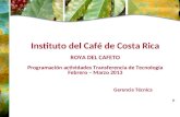 Instituto del Café de Costa Rica ROYA DEL CAFETO Programación actividades Transferencia de Tecnología Febrero – Marzo 2013 Gerencia TécnicaF.