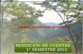 RENDICIÓN DE CUENTAS 1° SEMESTRE 2012. ALCALDIA MUNICIPAL DE VIANI- CUNDINAMARCA MUNICIPIO MODELO Y MUSICAL DE COLOMBIA. FERNANDO SALAMANCA MORENO ALCALDE.