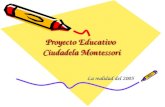Proyecto Educativo Ciudadela Montessori La realidad del 2005.