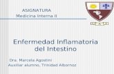 Enfermedad inflamatoria intestinal 2011 - Medicina Interna II Uai