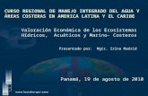 Valoración Económica de los Ecosistemas Hídricos, Acuáticos y Marino- Costeros Presentado por: Mgtr. Irina Madrid Panamá, 19 de agosto de 2010.