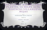 COLEGIO DE BACHILLERES PLANTEL 14 MILPA ALTA ´´FIDENCIO VILLANUEVA ROJAS HERNADEZ ALVA CARLOS TICS ll YANELI TELLES 207 2011 - A.