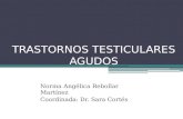 TRASTORNOS TESTICULARES AGUDOS Norma Angélica Rebollar Martínez Coordinada: Dr. Sara Cortés.
