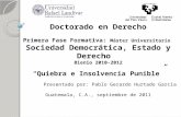 Doctorado en Derecho Primera Fase Formativa: Máster Universitario Sociedad Democrática, Estado y Derecho Bienio 2010-2012 Quiebra e Insolvencia Punible.