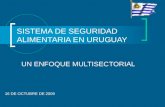 SISTEMA DE SEGURIDAD ALIMENTARIA EN URUGUAY UN ENFOQUE MULTISECTORIAL 16 DE OCTUBRE DE 2009.