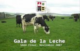 Gala de la Leche SAGO Fisur, Noviembre 2007. 0 10 20 30 40 50 60 70 80 90 X IXVIIIM X IXVIIIM X IXVIIIM % productores % vacas lecheras % recepción Distribución.