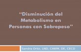 Sandra Ortiz, LND, CAWM, DE, CECD. Objetivos Presentar factores que pueden afectar el metabolismo. Efectos del metabolismo lento en el control del peso.