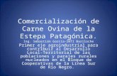 Comercialización de Carne Ovina de la Estepa Patagónica. Ing. Sebastián García-INTI Bariloche Primer eje agroindustrial para contribuir al Desarrollo Local-Territorial.
