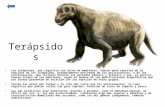 Terápsidos Los terápsidos, que significa con arcos de mamíferos, fueron unos reptiles de la subclase de los sinápsidos, probablemente derivados de los.