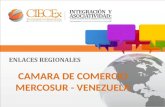 CAMARA DE COMERCIO MERCOSUR - VENEZUELA. Formación y capacitación. Facilitación de asesoría jurídica, aduanera, y empresarial comercial. Asesoría financiera.