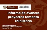 Informe de avances proyectos fomento Ministerio Patricia Martinez Barrios Viceministra de Educación Superior Febrero 7 de 2013.