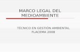 MARCO LEGAL DEL MEDIOAMBIENTE TÉCNICO EN GESTIÓN AMBIENTAL FLACEMA 2008.
