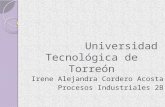 Universidad tecnológica de torreón aleee