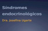 Síndromes endocrinológicos Dra. Josefina Ugarte. ¿que son?