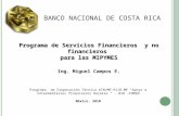 BANCO NACIONAL DE COSTA RICA Programa de Servicios Financieros y no financieros para las MIPYMES Programa de Cooperación Técnica ATN/ME-9118-ME Apoyo a.