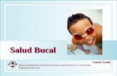 Salud Bucal Missouri Departamento de Salud y de Servicios para Personas de la Tercera Edad Programa de Salud Oral Cuarto Grado.