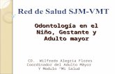 Odontología en el Niño, Gestante y Adulto mayor CD. Wilfredo Alegria Flores Coordinador del Adulto Mayor Y Modulo Mi Salud.