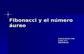 Fibonacci y el número áureo Antonio Rivero Ortiz Curso: 3º A Matemáticas.