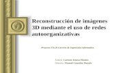 Reconstrucción de imágenes 3D mediante el uso de redes autoorganizativas Autora: Carmen Alonso Montes Director: Manuel González Penedo Proyecto Fin de.