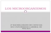 2º BACHILLERATO DE CIENCIAS IES UNIVERSIDAD LABORAL DE MÁLAGA LOS MICROORGANISMOS.